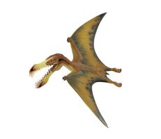 wild-safari-pterosaur