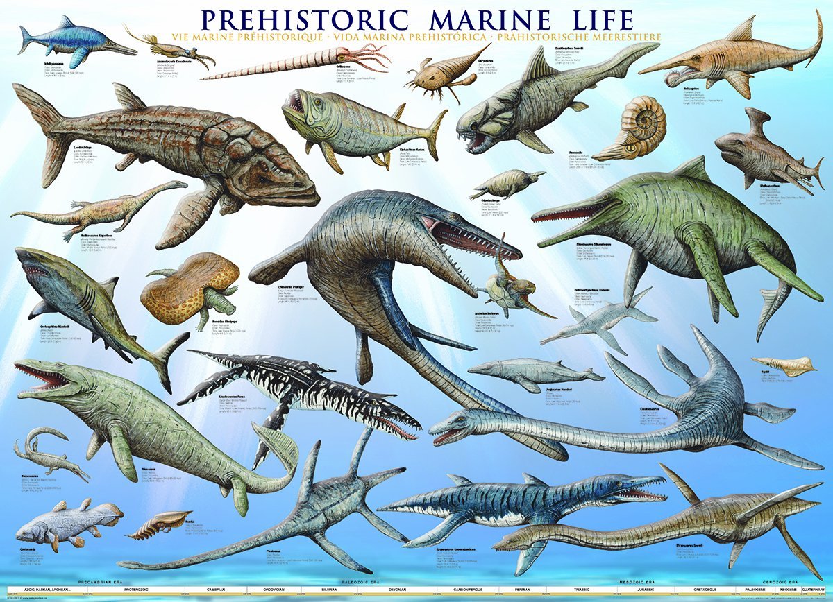 Dinosaur Poster Prehistoric Marine Life The Dinosaur Farm