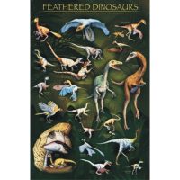 Dinosaur Poster feathered dinosaurs - the dinosaur farm