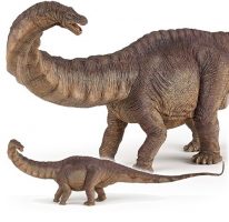 Apatosaurus 2015 papo_The dinosaur farm_young apatosaurus_apatosaurus_dinosaur figure_dinosaur toy_dinosaur_Papo_2015