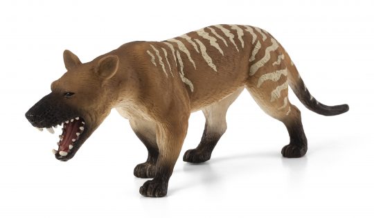 Mojo_Hyaenodon_gigas_Brown with white stripes on its back hind legs and tail with black on the tip of tail snout and bottom of feet