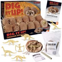 Bring home the mystery and excitement of a paleontological dig! Dig It Up! Discovery packs include 12 individually-wrapped dig projects, each with its own chiseling tool and instructions, making it the perfect excavation kit for a classroom or party! Just soak each 3" clay egg in water, then chisel away to discover your unique find. Check the included excavation guide for fun facts about your finds, plus extra activities! This kit includes: Excavate dino skeletons with Dig It Up! Dinosaur Skeletons and learn more about each prehistoric reptile! FREE Dig It Up! Excavation Kit: add to the adventure with these tools based on real paleontologist instruments – includes a hammer, chiseling tool, brush, sponge and magnifying lens, plus an excavation mat for quick and easy clean up! • Experience the thrill of discovery with 12 dig-and-discover projects per kit! • Each clay pod contains a different prehistoric dinosaur skeleton toy • A hands-on lesson in science and the natural world for kids • Excavation guide includes exciting information about dinos and activities to do with your dino bones toys • Perfect for a group or party activity! Age Recommendation: Ages 4 and up