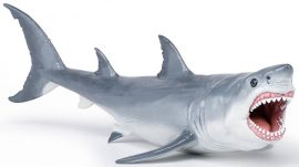 The Papo Megalodon was released in December, 2020 and is part of the Papo toy dinosaur series. The Papo 55087 is a hand painted figure and is made of durable synthetic material. Our thoughts on the Papo Megalodon: Papo did a really good job on this Megalodon model. Things we like include: Awesome mouth - Well sculpted and painted all the way to the back of the throat. Lots of nice double rowed teeth, and the paint job on the outside shows excellent shading on the skin. We love this model. Only drawback is that we which the Papo Megalodon was LARGER !! Megalodon Information: The word “Megalodon” literally translates to "big tooth" and the Megalodon was likely one of the largest and most dangerous predators that lived in the water. Scientists know that the Megalodon was a large creature, but exactly how large is unknown. The problem is that a complete Megalodon fossil has never been found so the size and appearance estimates are based on fragmentary remains. Most estimates of the Megalodon’s size and appearance are based on fragment remains of teeth that have been found. Extrapolating current day shark teeth data against found Megalodon teeth provides an estimate of a 35 foot length (on average) with a maximum length estimated to be up to 65 feet. It had powerful jaws with an estimated bite force of 40,000 lbf – which could easily crush any bones. At that giant size, the Megalodon clearly had a major impact on the marine community in which it lived. Near the top of the ocean “food chain” it likely targeted only the largest of prey – whales, seals, etc. Like the old joke - What’s a Megalodon eat” – whatever it wants. However, it likely did face competition from other large predators such as the Livyatan. The Megalodon lived approximately 25 million years ago. There are many thoughts as to why the Megalodon became extinct. The ice age cooling the oceans, lowering sea levels, loss of nursing areas, and reduction of food sources are just some of the possible reasons. Product Code: 55087