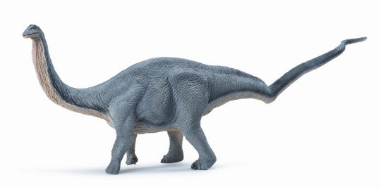 Apatosaurus (wild s)