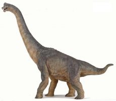 Brachiosaurus Papo - Papo - the dinosaur farm - dinosaur toys - figures