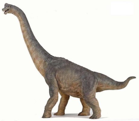 Brachiosaurus (Papo)