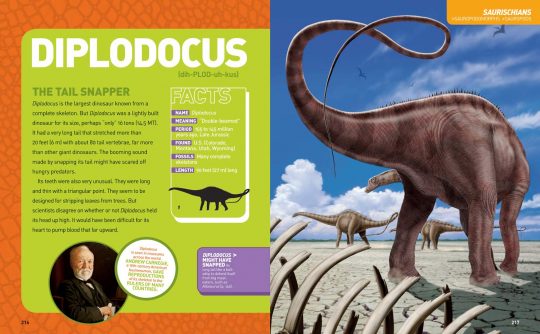 National-geographic-kids-Ultimate-dinopedia-the-dinosaur-farm-pg216-217