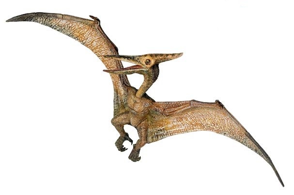 Pteranodon - Papo - The dinosaur farm - figures - toys