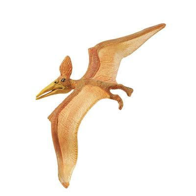 Pteranodon (wild s)