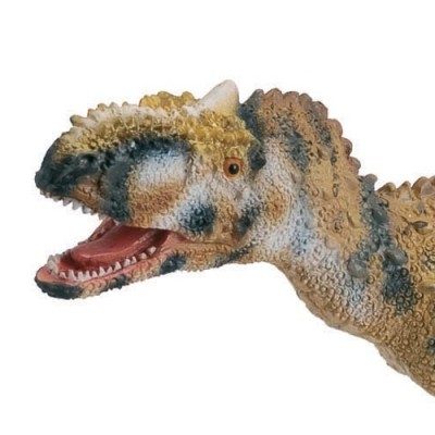 Rajasaurus Insert (Procon)