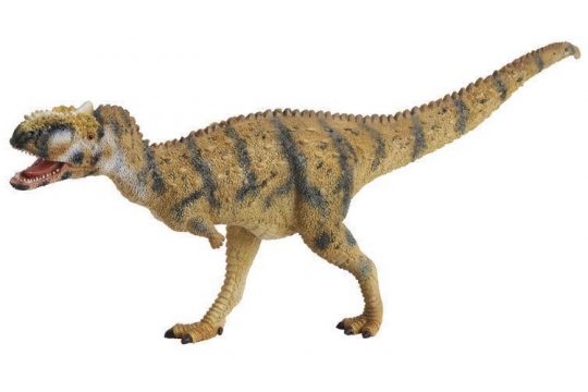 Rajasaurus (Procon)