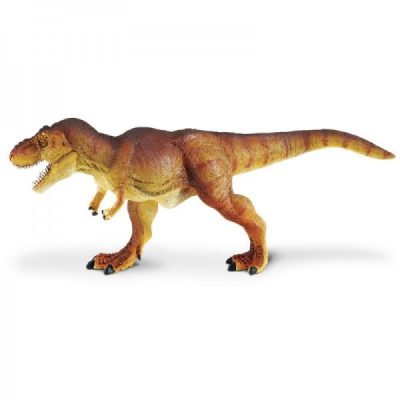 T-rex 2011 (wild s)