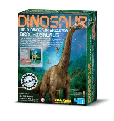 dino-dig-brachiosaurus