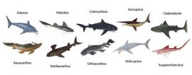 prehistoric sharks toob - tube - the dinosaur farm - sharks - toys - figures