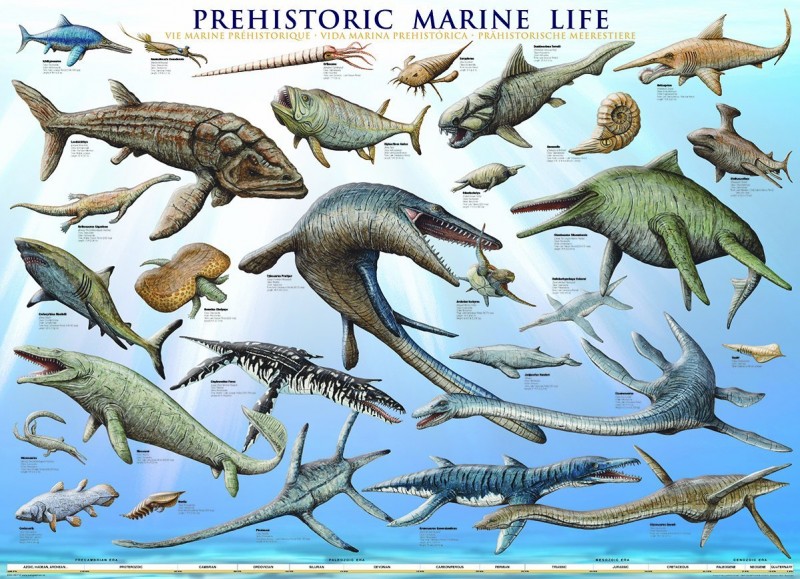 Prehistoric Sea Life Poster- The dinosaur Farm