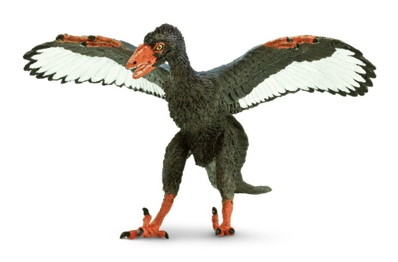 archaropteryx_ 2015_ wild _safari_the dinosaur farm_Dinosaur toys_Dinosaur_Dinosaur figures