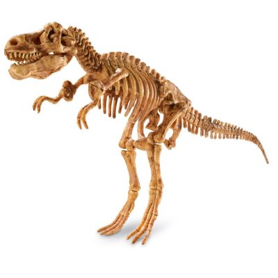 dig-it-up-t-rex-mindware-the-dinosaur-farm-skeleton