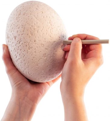 Dig-It-Up-mindware-the-big-egg-the dinosaur farm egg