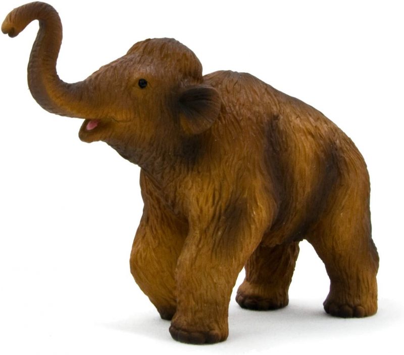PREMIUM QUALITY: This figurine is a highly detailed, hand-painted, realistic depiction of a Woolly Mammoth Calf sculpted by MOJO artisans. COLLECTABLE & EDUCATIONAL: This toy figurine is both collectable and educational. Since each MOJO figurine is hand-painted, each one is truly one of a kind! The attention to detail of each figurine makes MOJO figurines ideal for school diorama projects. PREHISTORIC ANIMAL COLLECTION: This woolly mammoth calf is part of a large assortment of animal figurines from our MOJO Prehistoric Extinct Animals Collection. Collect them all! SAFETY TESTED & GUARANTEED: All MOJO figurines are produced with the highest specifications using only the finest materials. All our figurines exceed all global testing requirements and are regularly tested to ensure child safety and continuous quality assurance. MOJO Toy Figurines are Distributed by Legler Toys USA Inc. Designed and suitable for ages 3+ years.