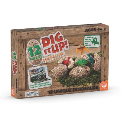 12-days-of-dig-it-up-dinosaur-eggs_13957922