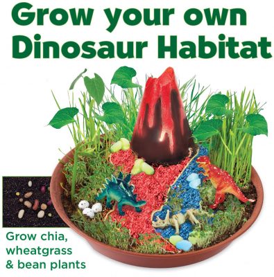 Grow n' glow dinosaur habitat assembled