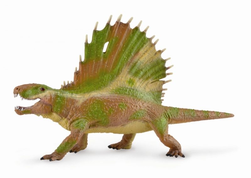 CollectA Dinosaur - Dimetrodon Deluxe, With Moveable Jaw - Deluxe 1:40 Scale This true to life, scaled-down Dimetrodon Deluxe is perfect for use in dioramas and other display projects. Excellent for educational purposes, endangered species awareness, environmental consciousness, plus gaining deeper knowledge of actual animals. As one of the major architects of toy animal replicas, CollectA uses role-play for learning: our mission is building a natural world in miniature. Suitable for Ages 3 and Up. This CollectA Dimetrodon Deluxe measures approximately 7.3" long by 4" tall, and 2" wide. Part of the Dinosaur Series by CollectA. Hand Painted. Made of durable synthetic material. Product Code: CA88822 CollectA 88822