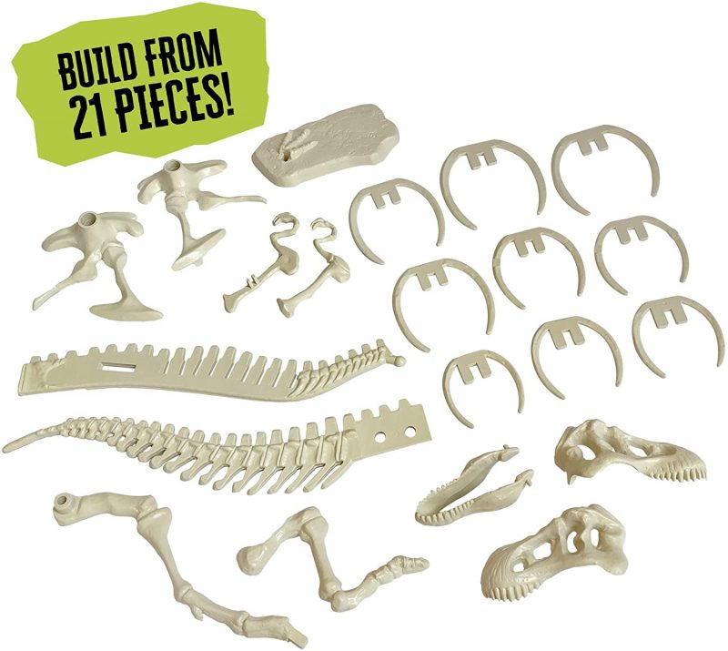 Thames & Kosmos Giant Dinosaur Skeleton Kit | STEM Activity | Build a 26-in Long T. Rex Skeleton Model | Explore Paleontology & Learn Fun Dino Facts...