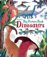 Discover the lost world of dinosaurs in this stylishly illustrated picture book. Each big picture scene shows dinosaurs that lived together during the same era, including old favourites like Stegosaurus and new discoveries like Zhenyuanlong. With lots of fascinating facts, and carefully selected links to websites to find out more.