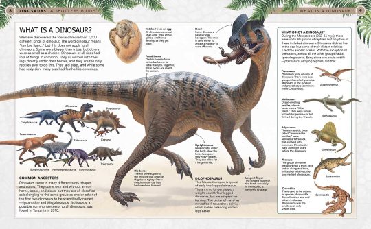 dinosaurs a spotters guide 1