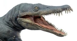 kronosaurus papo1